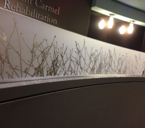 Custom Decorative Window Films for Offices